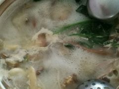 -16年老字号鑫鑫猪肚鸡·椰子鸡海南火锅(兴隆华侨农场店)