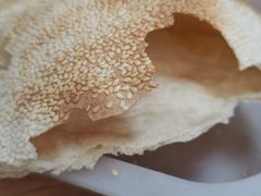 -老字号羊杂城(唐县店)