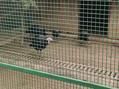 -宿豫区运河湾森林动物园