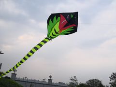 -眉山湿地公园(东坡区)