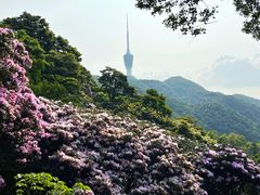 -梧桐山风景名胜区