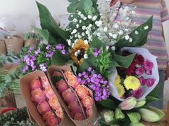 -gaga(深圳南山益田假日广场店)