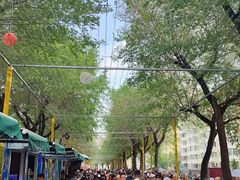-哈尔滨道外花鸟鱼市场