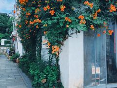 -青果巷历史文化街区