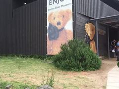 -济州岛泰迪熊博物馆