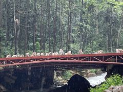 -姑婆山旅游区