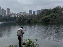 -重庆彩云湖湿地公园
