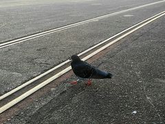 -符拉迪沃斯托克火车站