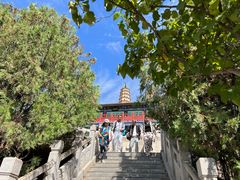 -白塔山公园