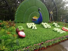 -呀路古热带植物园