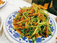 香菜炒牛肉丝-新新湘菜馆(新中街二条店)