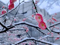 -杭州龙禧福朋喜来登酒店