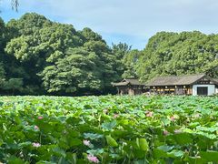 -兰亭风景区