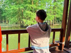 -池杉湖湿地公园