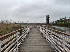 -春花秋色城市公园