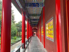 -开福禅寺