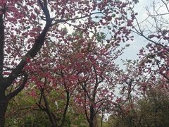 -昆明动物园