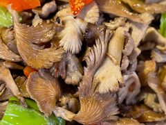 -乡村小榭饭店