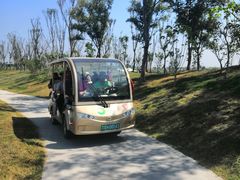 -洪湖湿地生态园