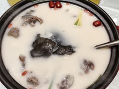 -潇湘甲鱼村(清河店)