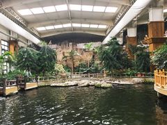 -南宫五洲植物乐园