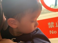 -上海浦东国际机场-T2航站楼