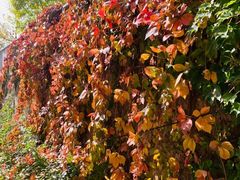 -森林公园(尖草坪区)