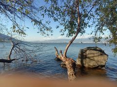 -西昌邛海湿地