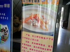 -河畔春天时尚餐厅