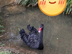 -常德桃花源景区