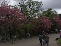 -北海道厅旧本厅舍(旧本庁舎)