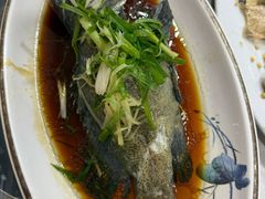 清蒸老鼠斑-富来美食