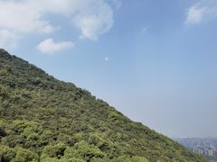 -杭州半山国家森林公园