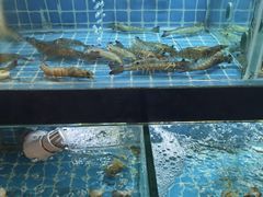 -佰园全日西餐厅-厦门佰翔软件园酒店