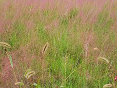 -汉长安城未央宫国家考古遗址公园