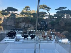 -罗红摄影艺术馆