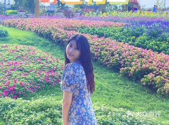 上海奇迹花园仙女出片地