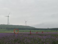 -草原天路(张北县)