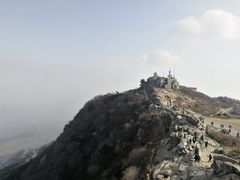 -赵记煎饼卷大葱(东岳店)