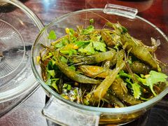 -红尘再(安昌古镇店)