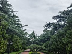 -南郊宾馆·风味自助餐厅·山东十六地市特色菜