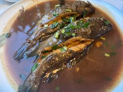 -宾朋海鲜特色美食餐厅·纯手工鲅鱼水饺(兴海路店)