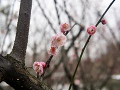 -白塘生态植物园