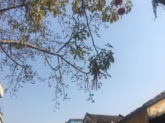 -伦教678文化街