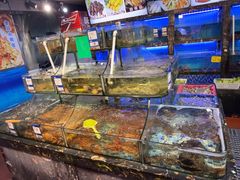 招牌煎膏蟹（全厦第2名）-友强·23年特色海鲜大排档(厦门店)
