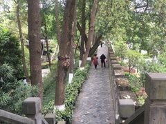 -桂湖森林公园
