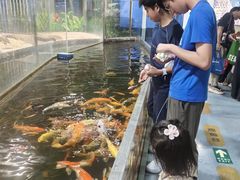 -上海大自然野生昆虫馆(东方明珠·爬宠昆虫探索中心)