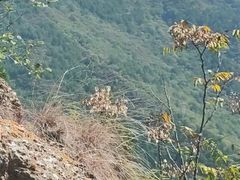 -北京十三陵国家森林公园蟒山景区