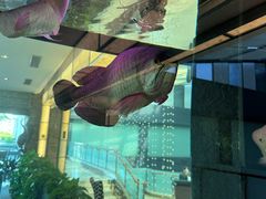 -厦门悦华酒店·绿庭主题自助餐厅