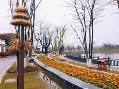 -上海长兴岛郊野公园